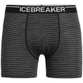 Icebreaker Anatomica Herren Unterhose