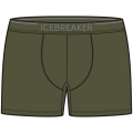 Icebreaker Anatomica Herren Unterhose