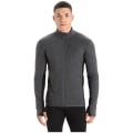 Icebreaker Descender Zip Herren Sweatshirt