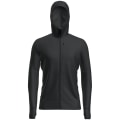 Icebreaker Merino 260 Quantum IV Zip Herren Kapuzensweater