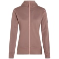 Icebreaker Merino 260 Quantum IV Zip Hoodie Damen