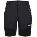 Icepeak Ballston Herren Shorts