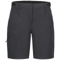 Icepeak Beaufort Damen Shorts