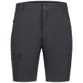 Icepeak Berwyn Herren Shorts