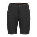 Icepeak Berwyn Herren Shorts
