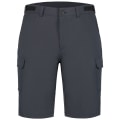Icepeak Braswell Herren Shorts