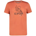 Icepeak Bearden Herren T-Shirt