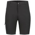 Icepeak Berwyn Herren Shorts