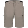 Icepeak Braswell Herren Shorts