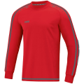 Jako TW-Trikot Striker 2.0 Herren
