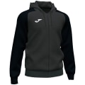 Joma Academy IV Herren Fußballjacke