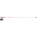 Leki Passion Nordic Walkingstock