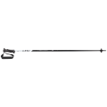 Leki Sentinel Alpin-Skistock