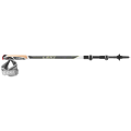 Leki Traveller Carbon Nordic Walkingstock