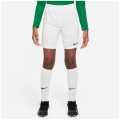 Nike Dri-Fit Park 3 Kinder Teamhose