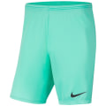 Nike Dri-FIT Park 3 Kinder Teamhose