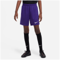 Nike Dri-FIT Park 3 Kinder Teamhose