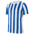 Nike Dri-FIT Division 4 Striped Herren Trikot