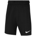Nike Dri-FIT Park Kinder Teamhose
