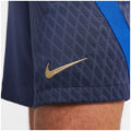 Nike Frankfreich Strike Dri-FIT Herren Fußballhose