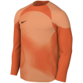 Nike Dri-Fit Gardien 4 Goalkeeper Herren Trikot