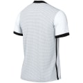 Nike Dri-FIT Challenge 4 Herren Trikot