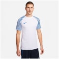 Nike Dri-FIT Academy Herren Trikot