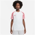Nike Dri-Fit Academy Kinder Trikot