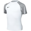 Nike Dri-FIT Academy Kinder Trikot