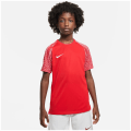 Nike Dri-FIT Academy Kinder Trikot