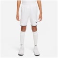 Nike Dri-Fit Kinder Teamhose