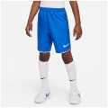 Nike Dri-FIT Kinder Teamhose