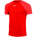 Nike Dri-FIT Academy Pro Herren Trikot