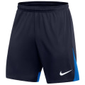 Nike Dri-FIT Academy Pro Herren Teamhose