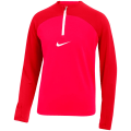 Nike Dri-FIT Academy Pro Kinder Trikot