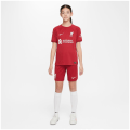 Nike Liverpoll FC NK DF STAD HM Kinder Kurzarmtrikot