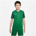 Nike Dri-FIT Trophy 5 Kinder Trikot