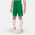 Nike Dri-FIT League 3 Kinder Teamhose