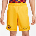Nike FC Barcelona FC Barcelona 2023/24 Stadium Fourth Dri-Fit Herren Fußballhose