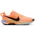Nike Pegasus Trail 5 Trail Herren Laufschuhe