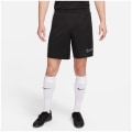 Nike Dri-Fit Academy Dri-Fit Herren Shorts