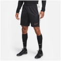 Nike Dri-Fit Academy Dri-Fit Herren Shorts