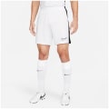 Nike Dri-FIT Academy Herren Shorts