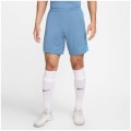 Nike Dri-FIT Academy Herren Shorts