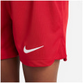 Nike Liverpoll FC LK NK DF KIT HM