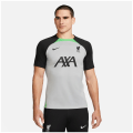 Nike Liverpool FC Strike Dri-FIT Top Herren T-Shirt
