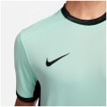 Nike Chelsea FC NK DF STAD SS 3R Herren Trikot