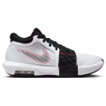 Nike LEBRON WITNESS VIII