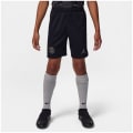 Nike Paris Saint Germain NK DF STAD 3R Kinder Fußballhose
