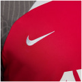 Nike Liverpoll FC NK DF STRK K Herren T-Shirt